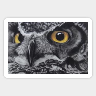 Knight Owl Sticker